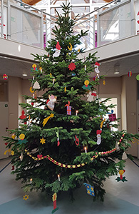 Tannenbaum