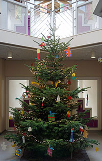 Weihnachtsbaum