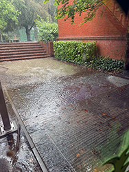 Regen